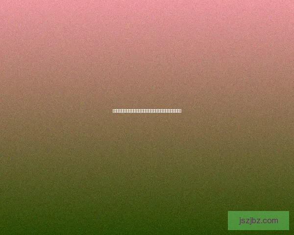 赏金猎人黑色黎明存档攻略与技巧大全完整解析与隐藏内容揭秘